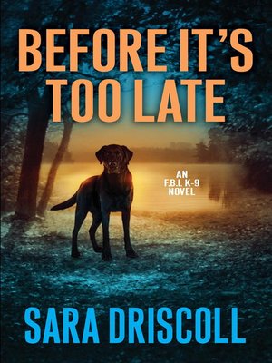 cover image of Before It's Too Late
